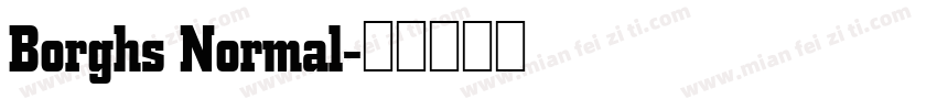 Borghs Normal字体转换